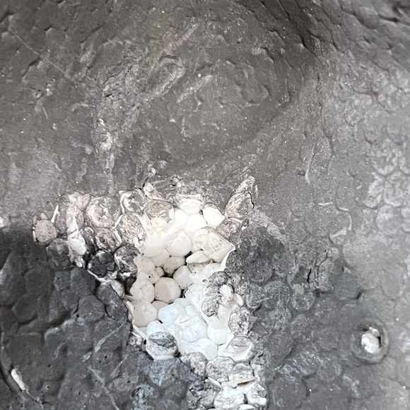 Gray and White Skull Decor Set - Picture 14 of 15